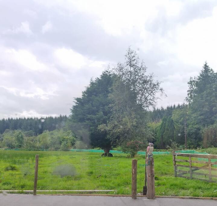 Drummacahan Lodge Ederny Zewnętrze zdjęcie