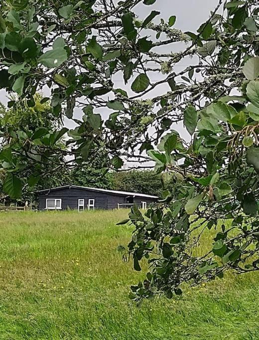 Drummacahan Lodge Ederny Zewnętrze zdjęcie