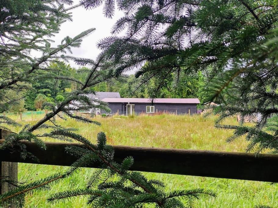 Drummacahan Lodge Ederny Zewnętrze zdjęcie