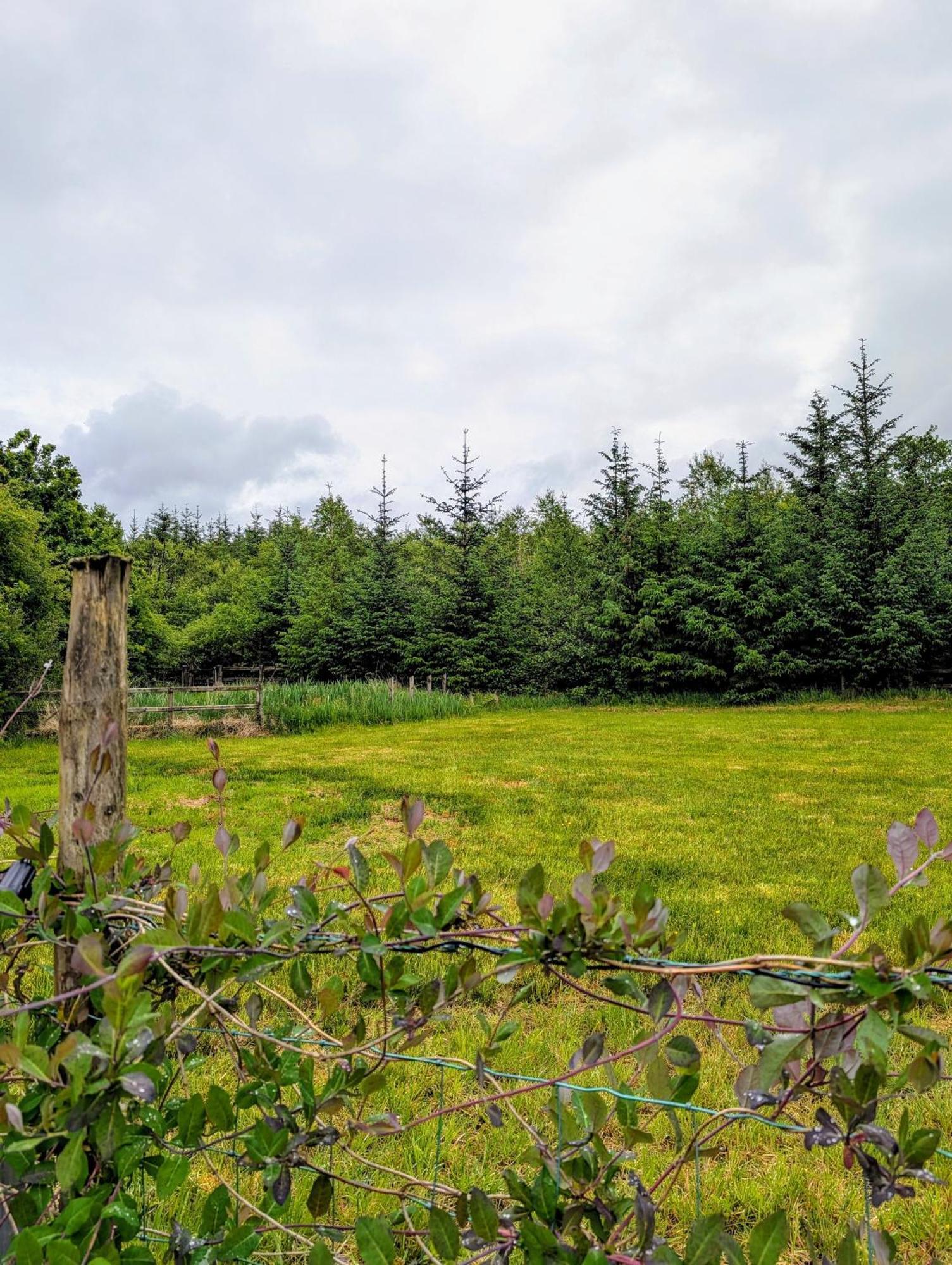 Drummacahan Lodge Ederny Zewnętrze zdjęcie